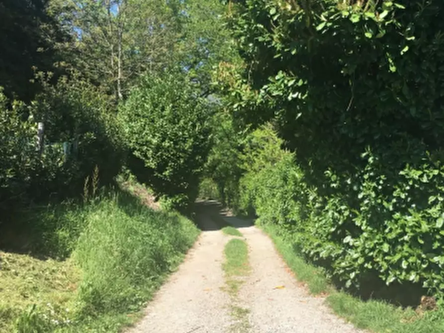 Immagine 5 di Terreno agricolo in vendita  in Frazione Ponzate a Tavernerio