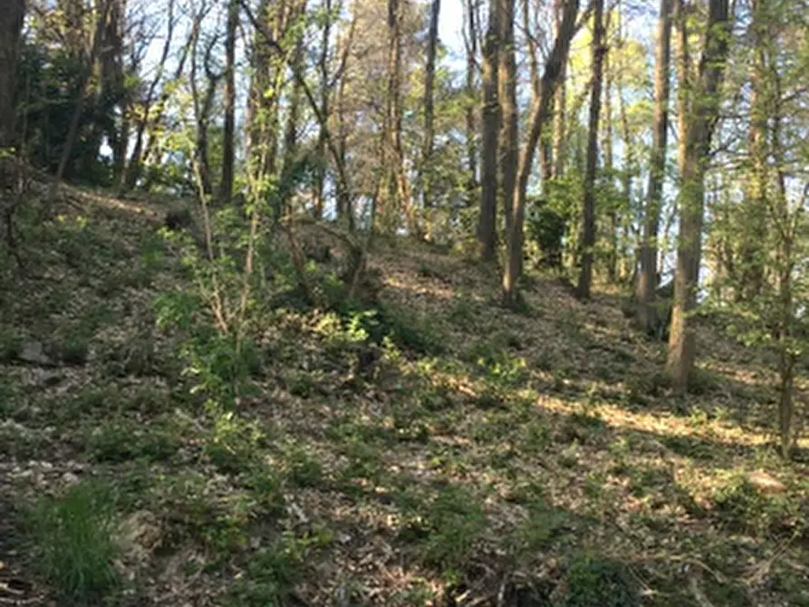 Immagine 2 di Terreno agricolo in vendita  in Via Degli Alpini a Lipomo
