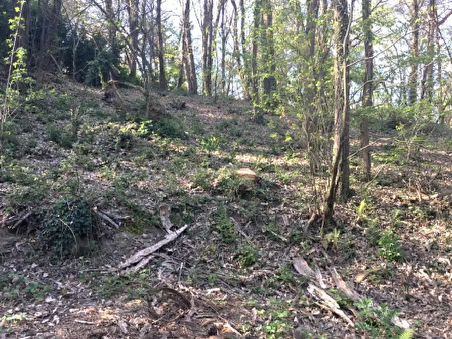 Immagine 3 di Terreno agricolo in vendita  in Via Degli Alpini a Lipomo