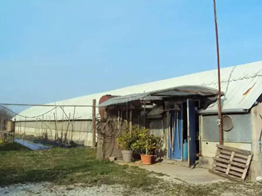 Immagine 3 di Magazzino in vendita  in Via Castella a Mansuè