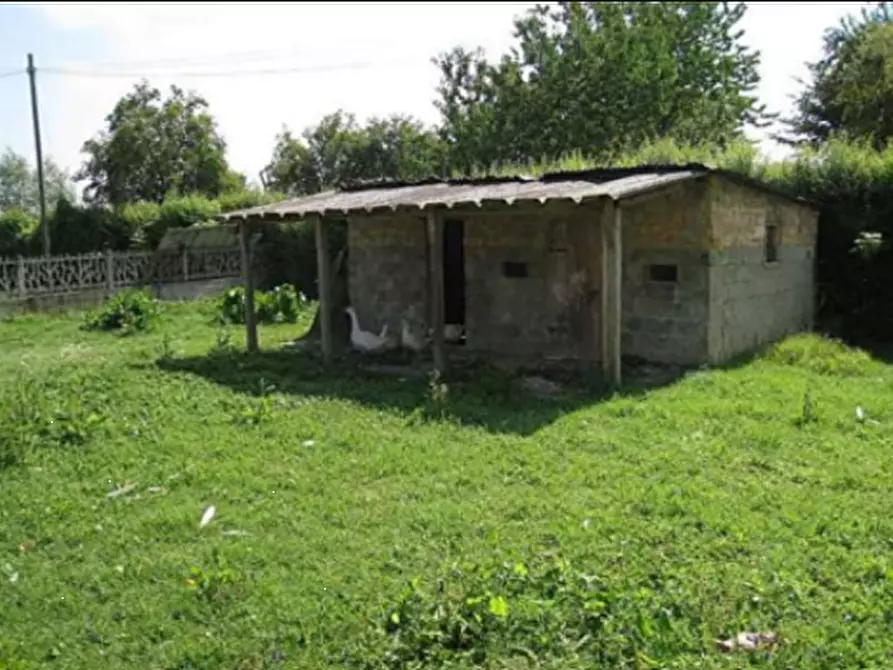 Immagine 8 di Rustico / casale in vendita  in Via Cavaizza a Codevigo