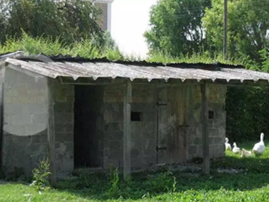 Immagine 10 di Rustico / casale in vendita  in Via Cavaizza a Codevigo