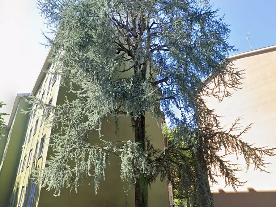 Immagine 9 di Appartamento in vendita  in Via Val di Bondo a Milano