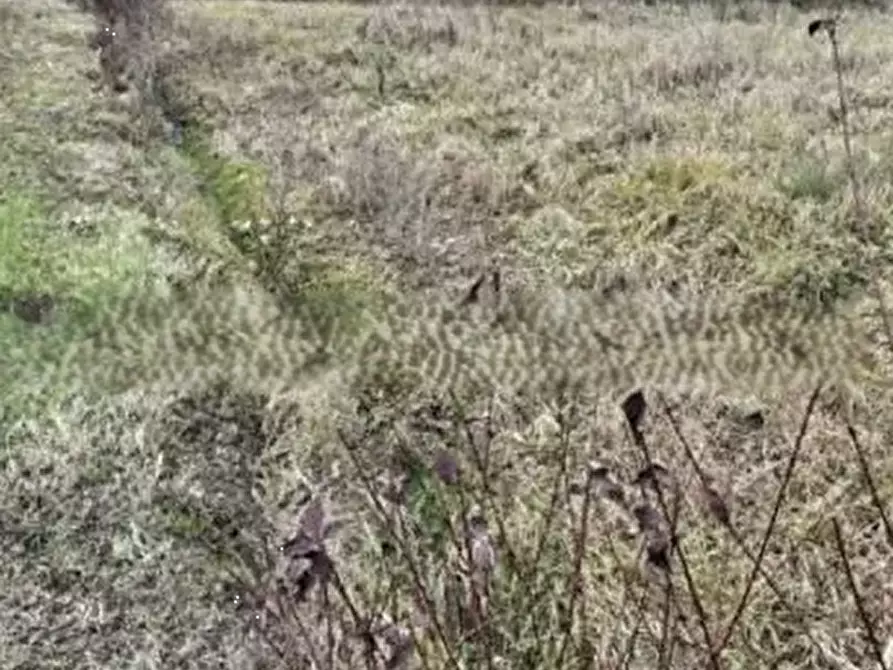 Immagine 2 di Terreno agricolo in vendita  in  Via col san martino a Farra Di Soligo