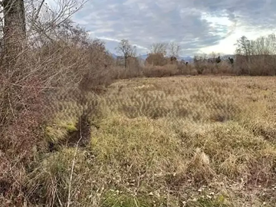 Immagine 6 di Terreno agricolo in vendita  in  Via col san martino a Farra Di Soligo