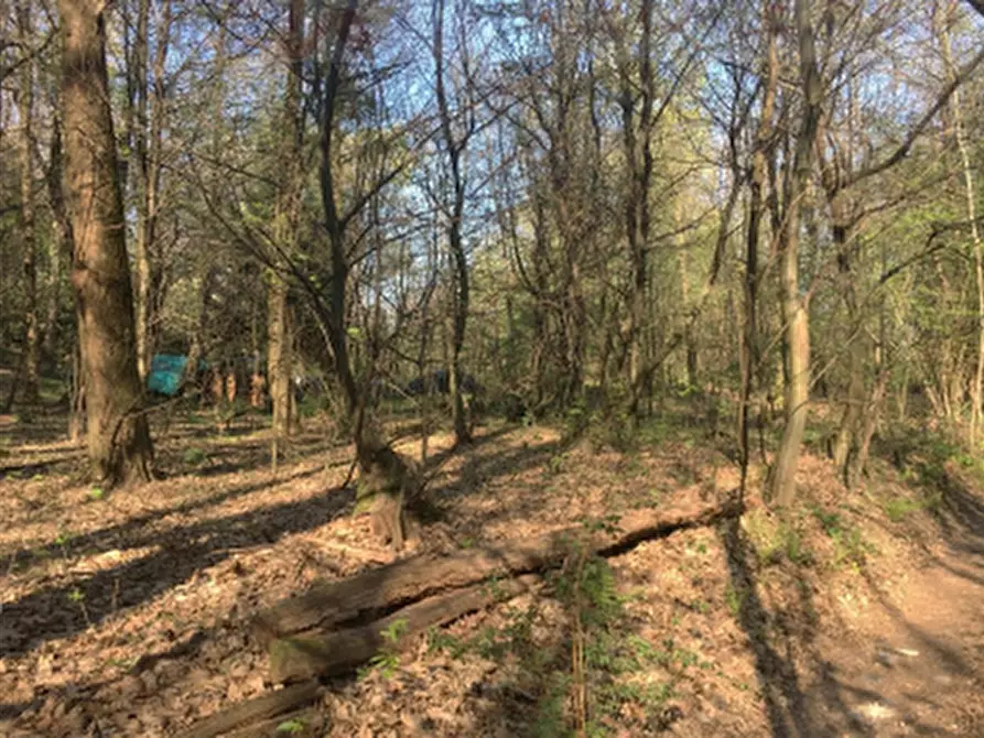 Immagine 2 di Terreno agricolo in vendita  in Via degli Alpini a Lipomo