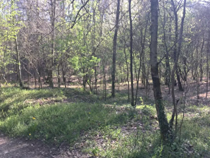 Immagine 4 di Terreno agricolo in vendita  in Via degli Alpini a Lipomo