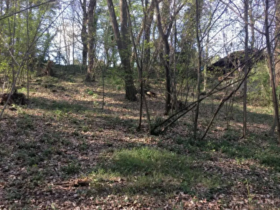 Immagine 5 di Terreno agricolo in vendita  in Via degli Alpini a Lipomo