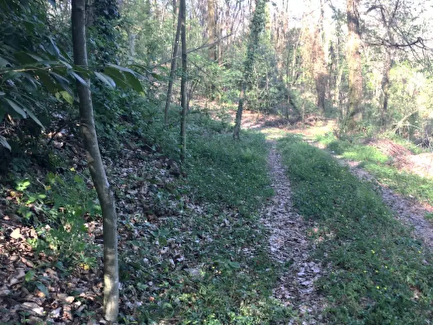 Immagine 4 di Terreno agricolo in vendita  in Via Degli Alpini a Lipomo