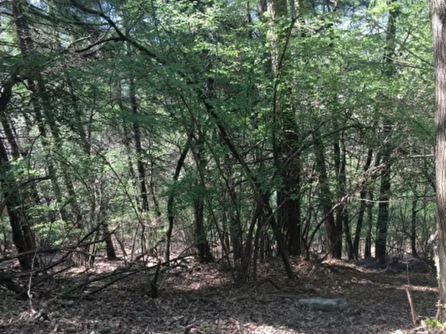 Immagine 2 di Terreno agricolo in vendita  in Frazione Ponzate a Tavernerio