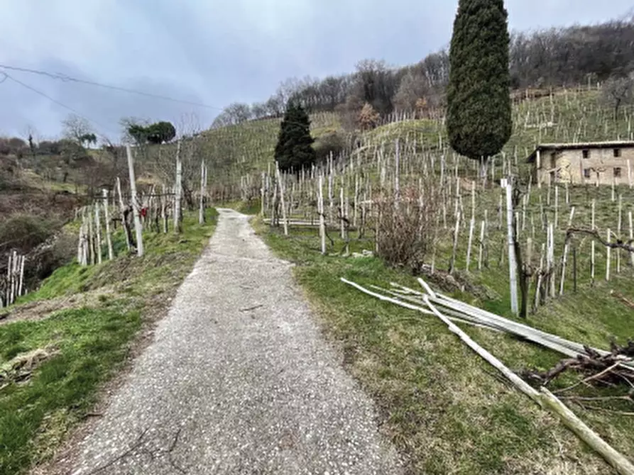 Immagine 9 di Terreno agricolo in vendita  in Via San Giorgio a Farra Di Soligo
