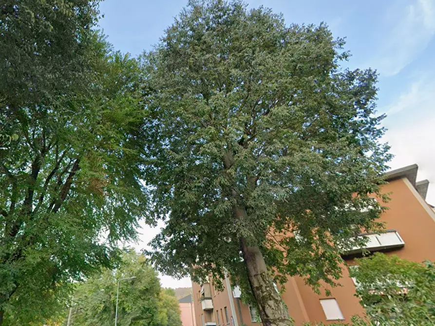 Immagine 5 di Appartamento in vendita  in Piazzetta della Fortuna a Monzuno