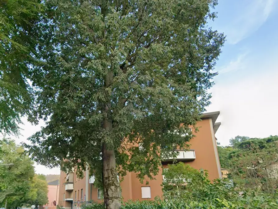 Immagine 16 di Appartamento in vendita  in Piazzetta della Fortuna a Monzuno