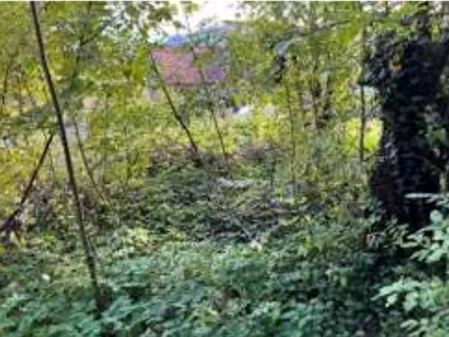 Immagine 4 di Casa indipendente in vendita  in Contrada Battistini a Valdagno