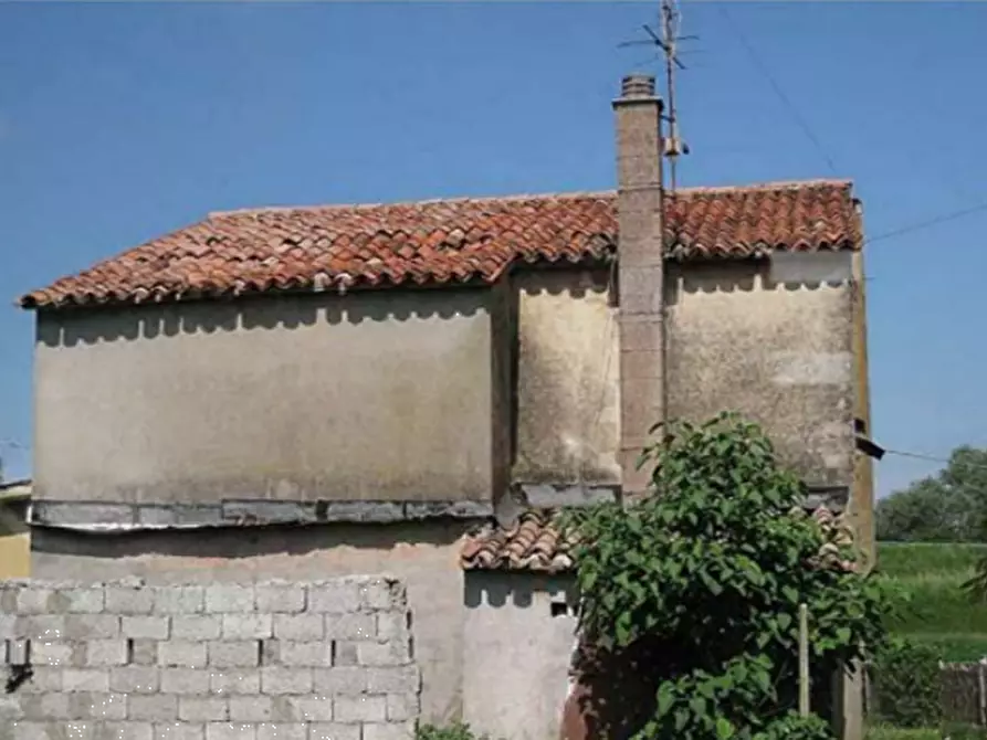 Immagine 2 di Rustico / casale in vendita  in Via Cavaizza a Codevigo
