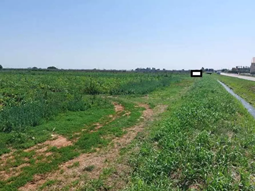 Immagine 2 di Terreno agricolo in vendita  in Strada Quistello a Mozzecane