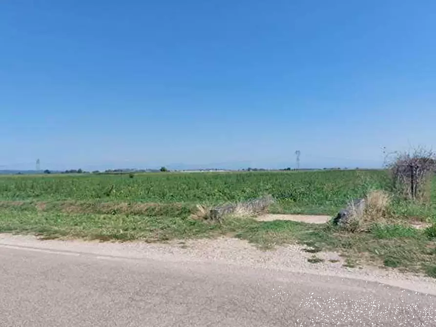 Immagine 3 di Terreno agricolo in vendita  in Strada Quistello a Mozzecane