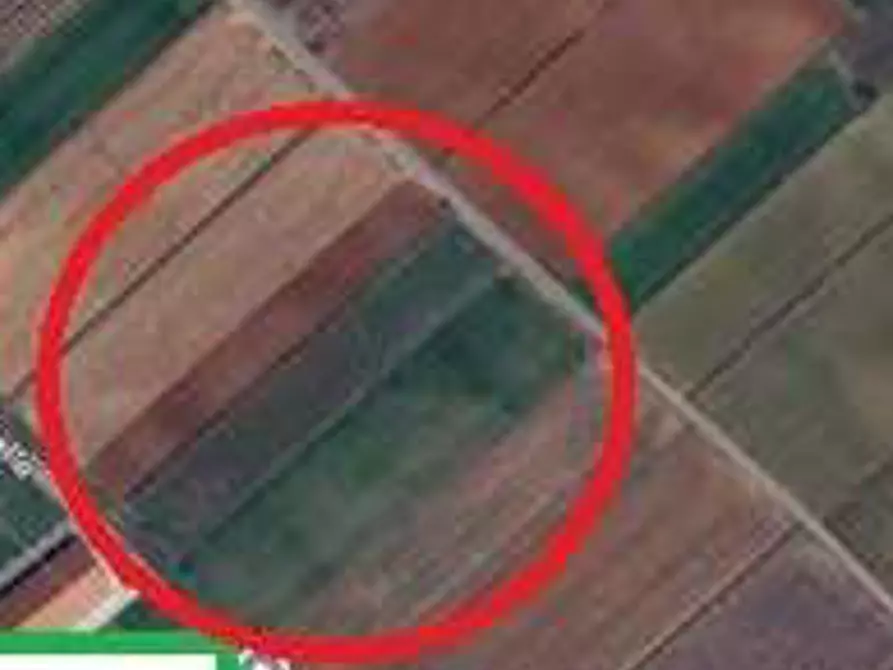 Immagine 5 di Terreno agricolo in vendita  in Strada Quistello a Mozzecane