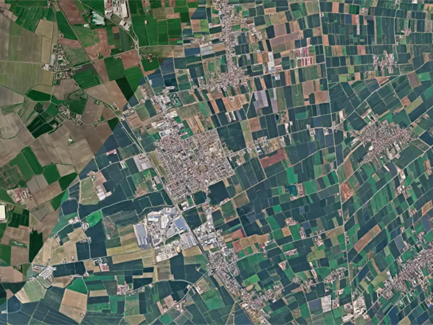 Immagine 8 di Terreno agricolo in vendita  in Strada Quistello a Mozzecane