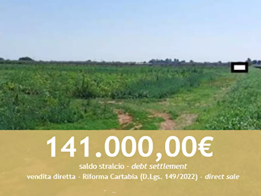 Immagine 1 di Terreno agricolo in vendita  in Strada Quistello a Mozzecane