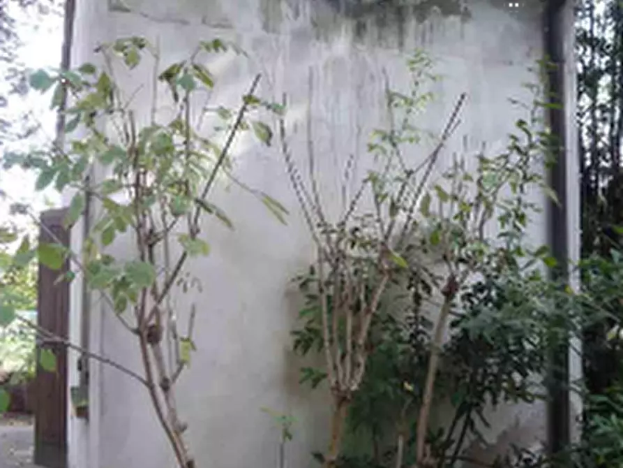 Immagine 8 di Porzione di casa in vendita  in Via Traversa Capitelllo a Concamarise