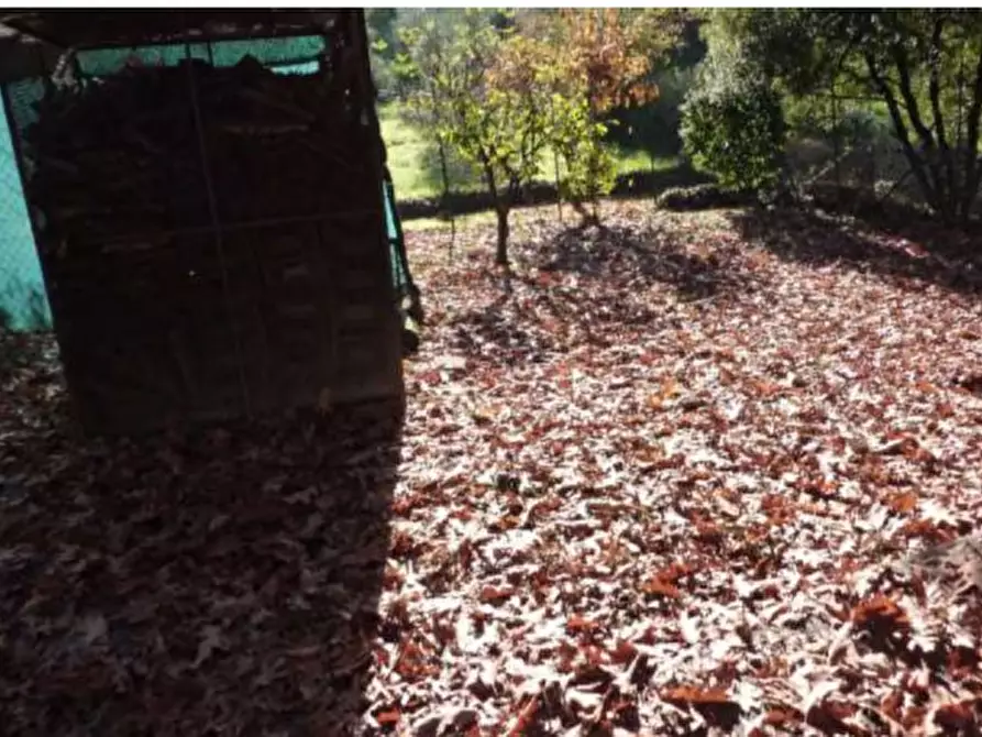 Immagine 14 di Villa in vendita  in Frazione Cà Nova a Valgreghentino