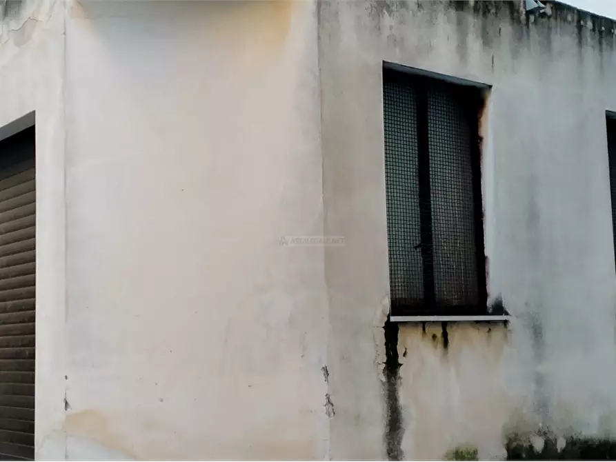 Immagine 3 di Appartamento in vendita  in Via dei Borghi a Montenero Di Bisaccia