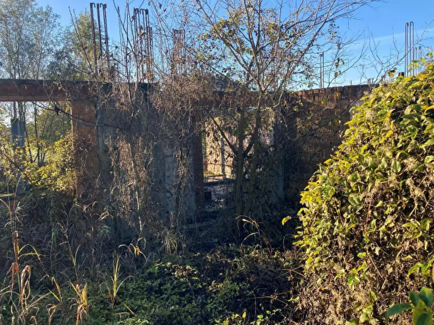 Immagine 4 di Terreno agricolo in vendita  in Via Gianfranco Miglio a Oppeano