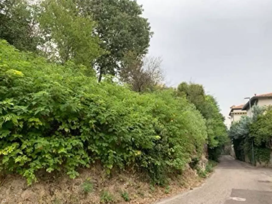Immagine 2 di Terreno agricolo in vendita  in Via Monte Novegno a Verona