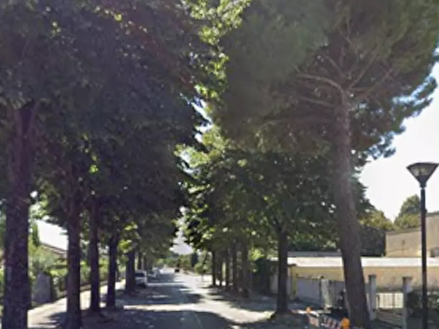 Immagine 7 di Appartamento in vendita  in Viale Roma a Cologna Veneta