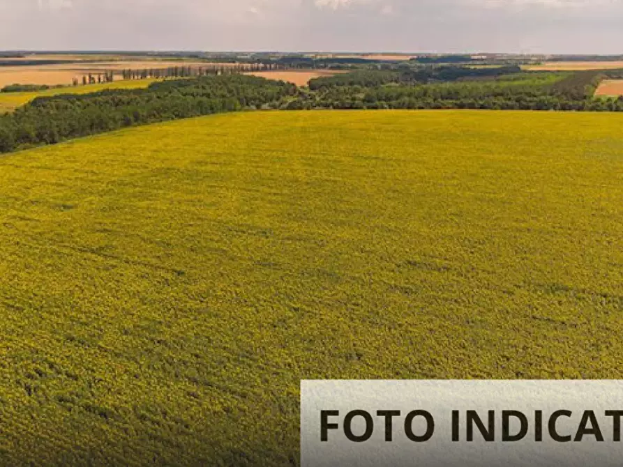 Immagine 4 di Terreno agricolo in vendita  in Via Cristoforo Colombo a Monselice