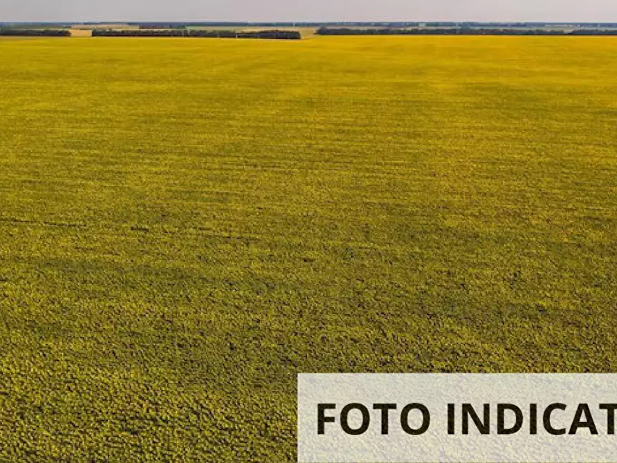 Immagine 5 di Terreno agricolo in vendita  in Via Cristoforo Colombo a Monselice