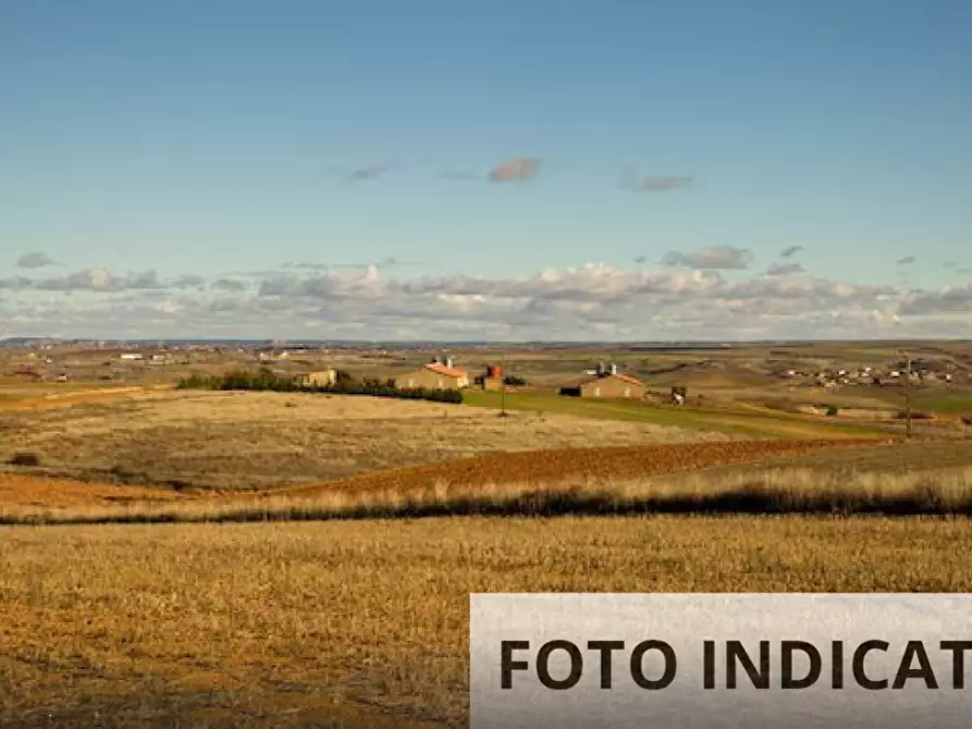 Immagine 7 di Terreno agricolo in vendita  in Via Cristoforo Colombo a Monselice