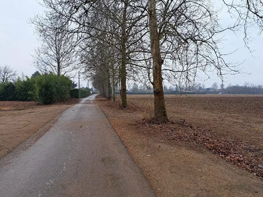 Immagine 3 di Terreno agricolo in vendita  in Frazione Borsano a Busto Arsizio