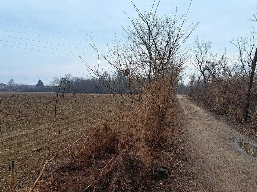 Immagine 4 di Terreno agricolo in vendita  in Frazione Borsano a Busto Arsizio