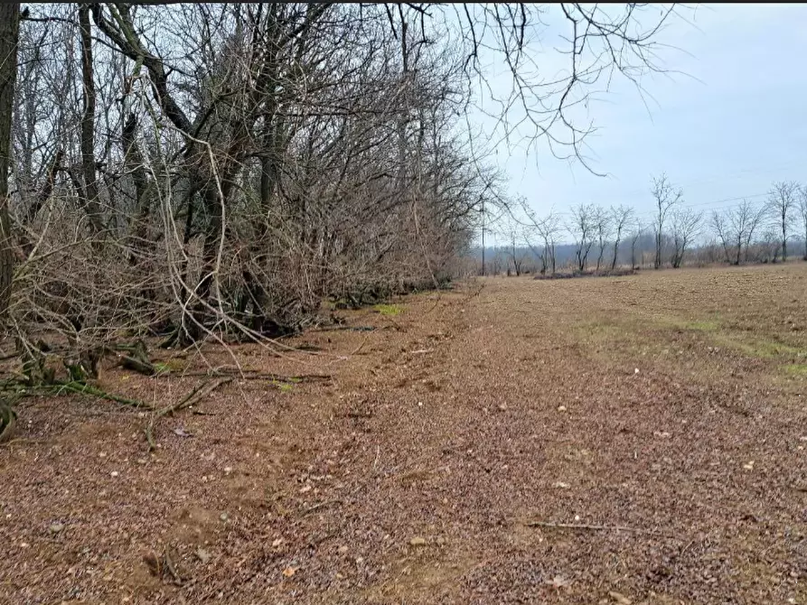 Immagine 5 di Terreno agricolo in vendita  in Frazione Borsano a Busto Arsizio