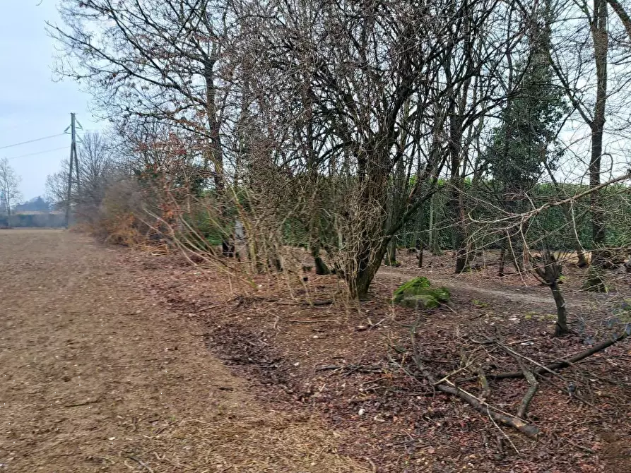 Immagine 6 di Terreno agricolo in vendita  in Frazione Borsano a Busto Arsizio