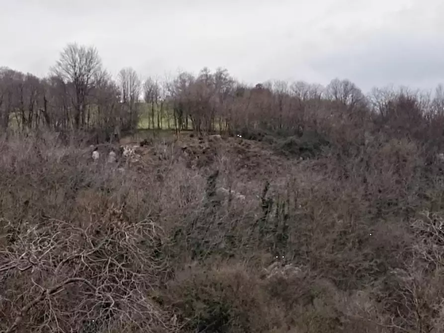 Immagine 1 di Terreno agricolo in vendita  in Via Faggiana a Chiampo