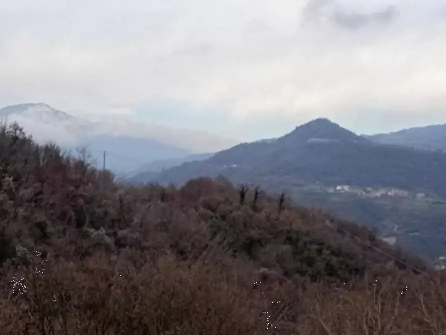 Immagine 1 di Terreno agricolo in vendita  in Via Faggiana, a Chiampo