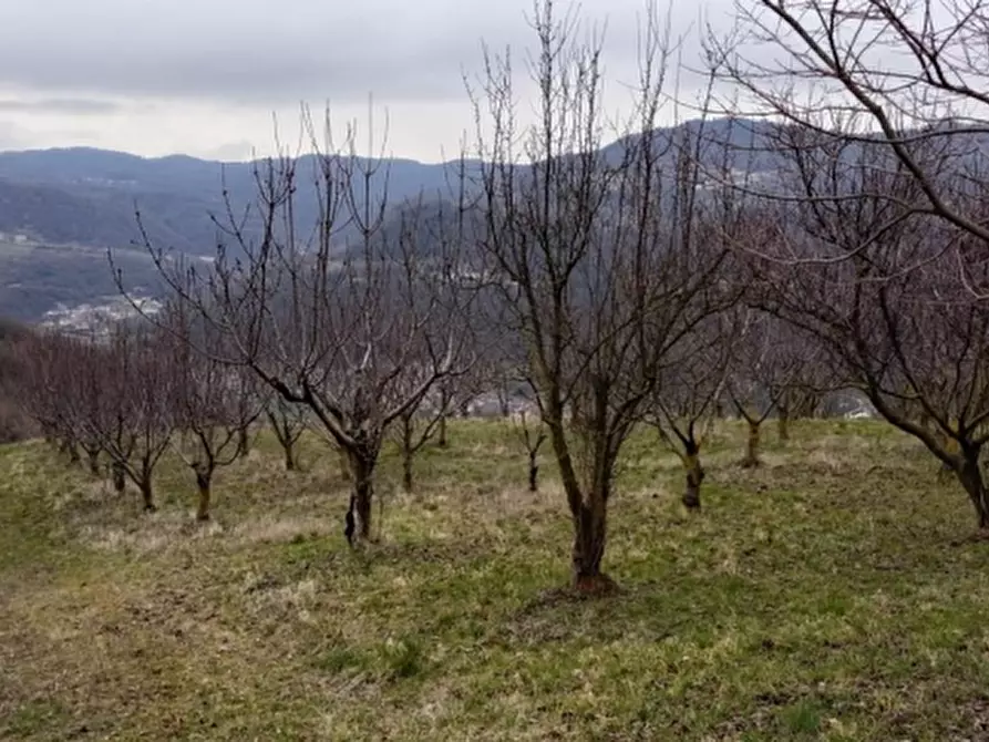 Immagine 1 di Terreno agricolo in vendita  in Via Faggiana a Chiampo