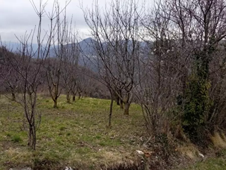 Immagine 2 di Terreno agricolo in vendita  in Via Faggiana a Chiampo