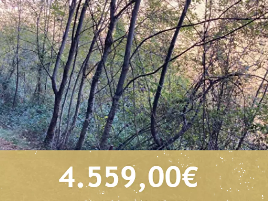 Immagine 1 di Terreno agricolo in vendita  in Via San Valentino a Segusino