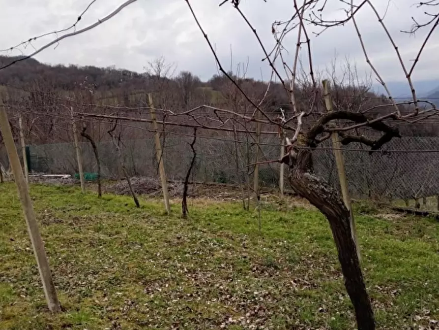 Immagine 1 di Terreno agricolo in vendita  in Via Faggiana a Chiampo