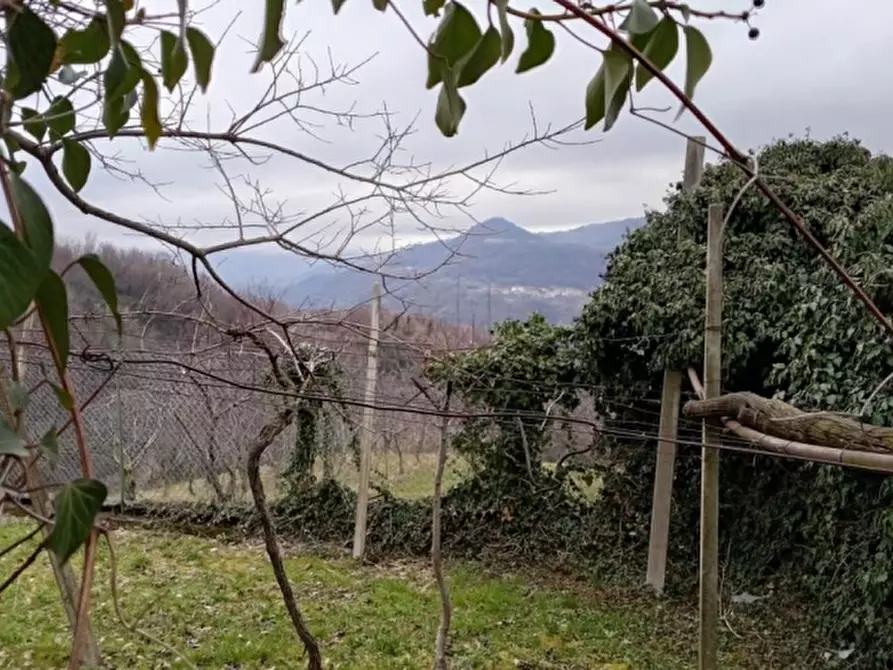 Immagine 2 di Terreno agricolo in vendita  in Via Faggiana a Chiampo