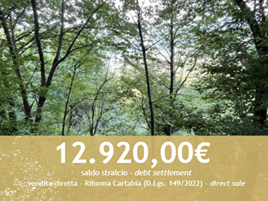 Immagine 1 di Terreno agricolo in vendita  in Località Ambrosini a Valdagno