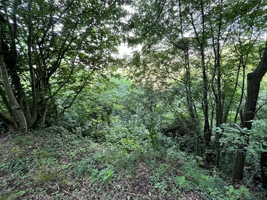 Immagine 3 di Terreno agricolo in vendita  in Località Ambrosini a Valdagno