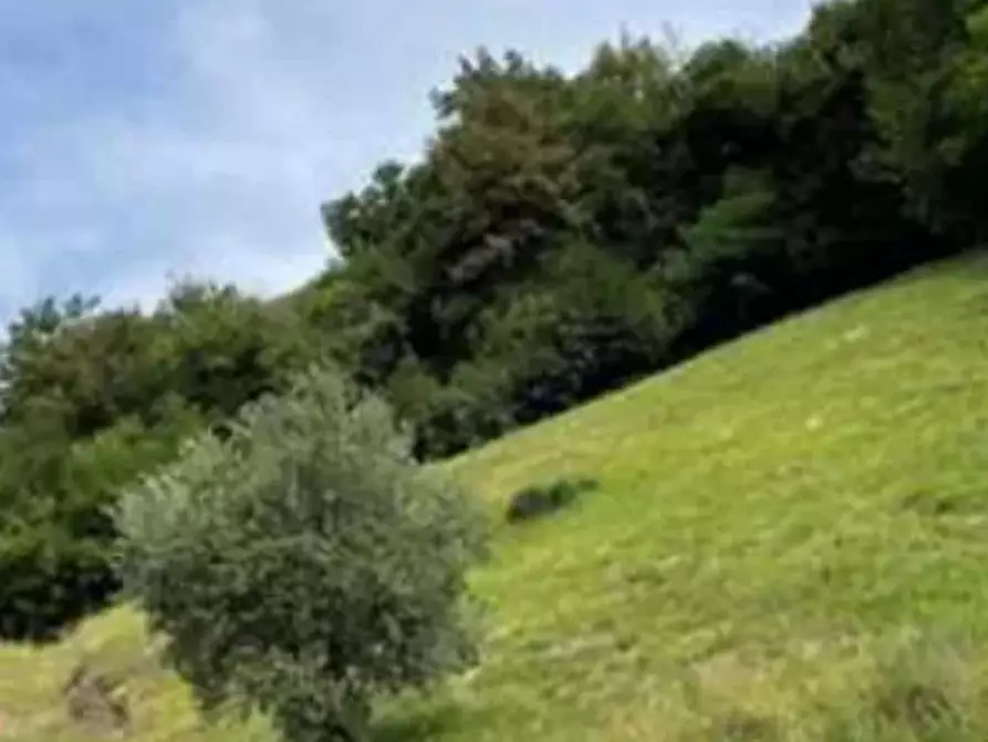 Immagine 2 di Terreno agricolo in vendita  in Via Marchetti a Marostica