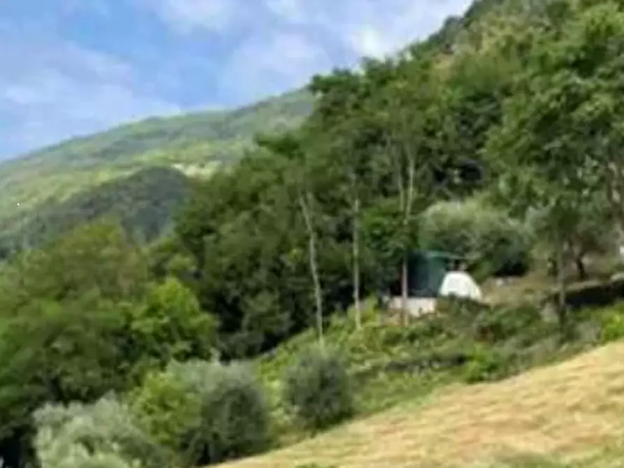 Immagine 3 di Terreno agricolo in vendita  in Via Marchetti a Marostica