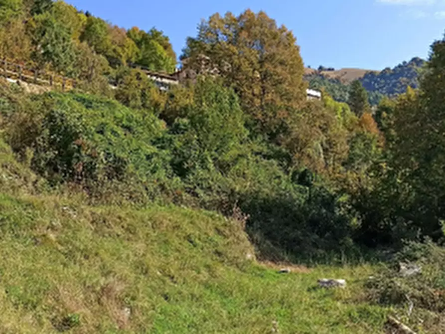 Immagine 2 di Terreno edificabile in vendita  in Via San Fedele a Blessagno