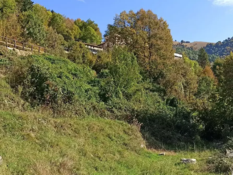 Immagine 3 di Terreno edificabile in vendita  in Via San Fedele a Blessagno